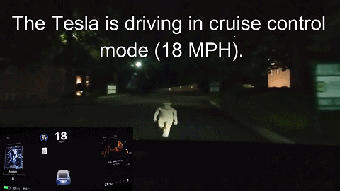 fake-person-tesla