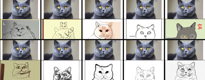 cat-sketch